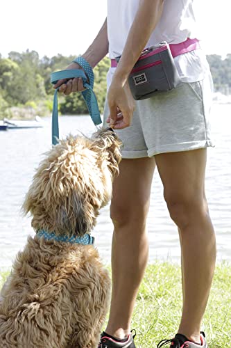 Doog - Good Dog Treat Pouch, Black Large #TOP6