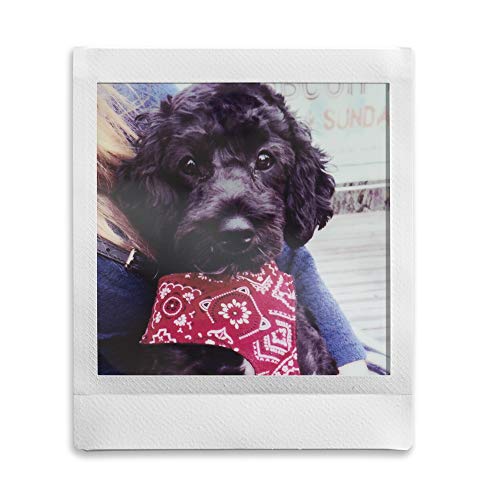 INSTAX Share SP-3 Drucker (mit WiFi, geeignet für Sofortbildkamera) schwarz & Fujifilm Instax Square WW 1 Film – Bild 8