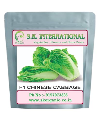 Image of Vegetable Seeds F1 Hybrid for Kitchen Garden, Farmhouse and Farm, Grow Fresh Veggies Daily (Brijal Round-Cauliflower Greenn -chinese cabbage)