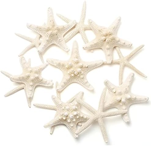 Maicodes 12 PCS Starfish | 2.5-6 Inch Starfish Decor | Natural Bulk Starfish Shells Perfect for Crafts Making Beach Theme Party Wedding Decoration, Home Wall Decor, Christmas Ornaments, Fish Tank