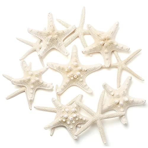 UEIEU 12 PCS Starfish | 2.5-6 Inch Starfish Decor | Natural Bulk Starfish Shells Perfect for Crafts Making Beach Theme Party Wedding Decoration, Home Wall Decor, Christmas Ornaments, Fish Tank