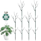 Qaobo 10 Pack Stackable Plant Support Stakes, Climbing Plant Support Structures for Monstera, Pothos, Philodendron Garden Plant Stakes for Indoor Outdoor Plants