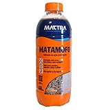 Mata Mofo Mactra...image