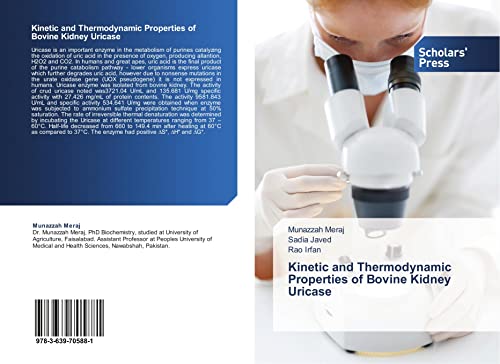 Kinetic and Thermodynamic Properties of Bovine Kidney Uricase