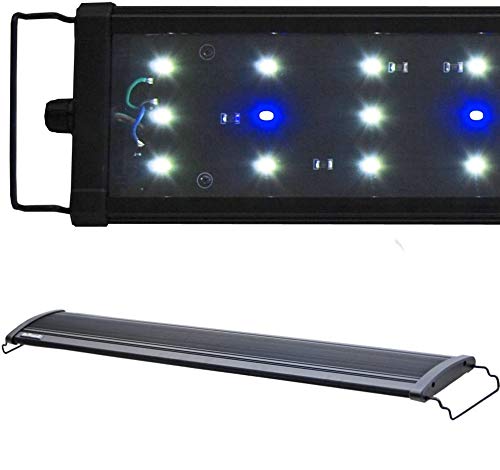Beamswork EA Timer 6500K 0.50W LED Aquarium Light Freshwater Plant (80cm - 30