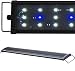 Beamswork EA Timer 6500K 0.50W LED Aquarium Light Freshwater Plant (80cm - 30")