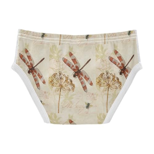 Boys' Exclusive Briefs Toddler Underwear 95% Combed Cotton Boxerbriefs 2T Dragonfly and Wildflower 172