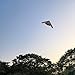 EWCEFIC Big Kite, B2 Bomber Model Kites,1:26Perfect Remake, A Kite of Choice for Adults and Military hobbyists、Equipped with 300 metres /984 Foot String Plate and a Pair of Cut-Resistant Gloves