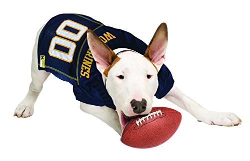 Image of Pets First Collegiate Michigan Wolverines Dog Mesh Jersey, Small