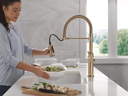 Delta Rhett Pro Style Commercial Kitchen Faucet with Pull Down Sprayer, Single Hole Brushed Gold Kitchen Sink Faucet, Single Handle, Champagne Bronze 18829-CZ-DST - Image 2