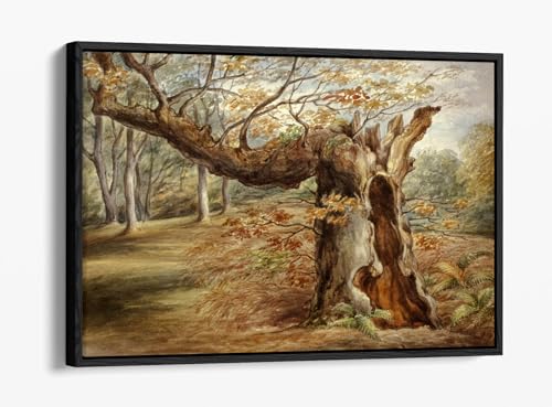 Impression sur toile Rotting Tree Elizabeth Murray avec cadre flottant noir 76,2 x 50,8 cm