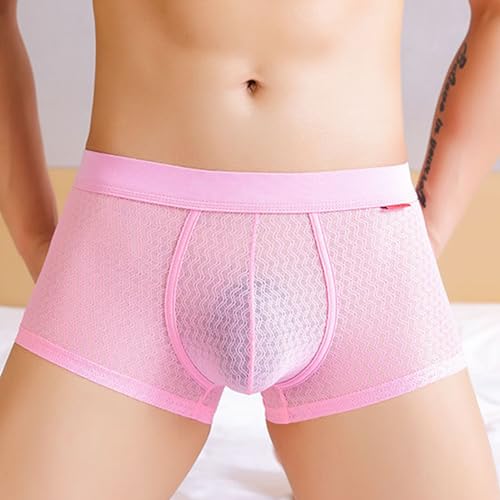 Evankin Mens Sexy Boxer Briefs Mesh Breathable Underwear See Through Lingerie Panties Trunks with Bulge Pouch2