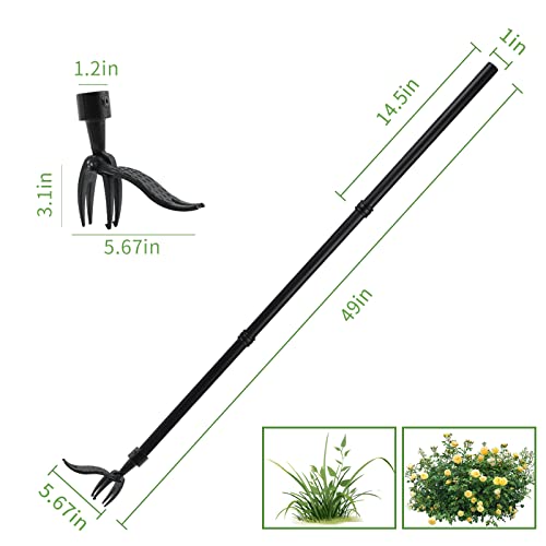Dmdmbsr Weed Puller Tool, Stand Up Weed Puller Long Handle Removable Steel Tube And Non-Slip 4 Claw Iron Head Design, Manual Weeders Easily Remove Dandelion Root Tool Gardening Lawn Yard（49 In） #TOP5