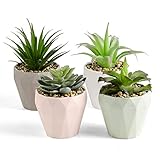 PRIMAISON Grüne Künstliche Sukkulenten Pflanzen Set-Dekorative Gefälschte Sukkulenten Faux Plastikpflanze Indoor & Outdoor für Haus Büro Schreibtisch Badezimmer Küche DIY Dekor Geschenkset