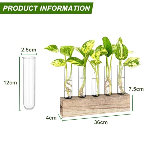 Image of ecofynd Test Tube Planter with Wooden Holder, Air Planter Glass Vase Holder with 5 Test Tube, Home Decor Hydroponic Plant Stand for Table Top, Desktop, Living Room, Office (TTP001)