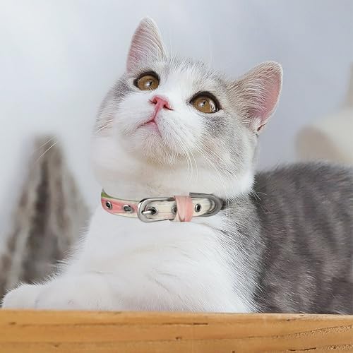 Collar de perro suave que evita rozaduras con hebilla de seguridad Feeling Peachy 6