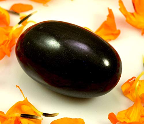 India Rare Shaligram Stone Hindu Pooja Shivlingam Shiva Small Pocket Size 1.75