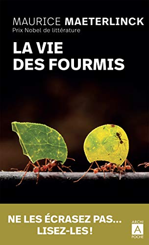 <a href="/node/37506">La vie des fourmis</a>