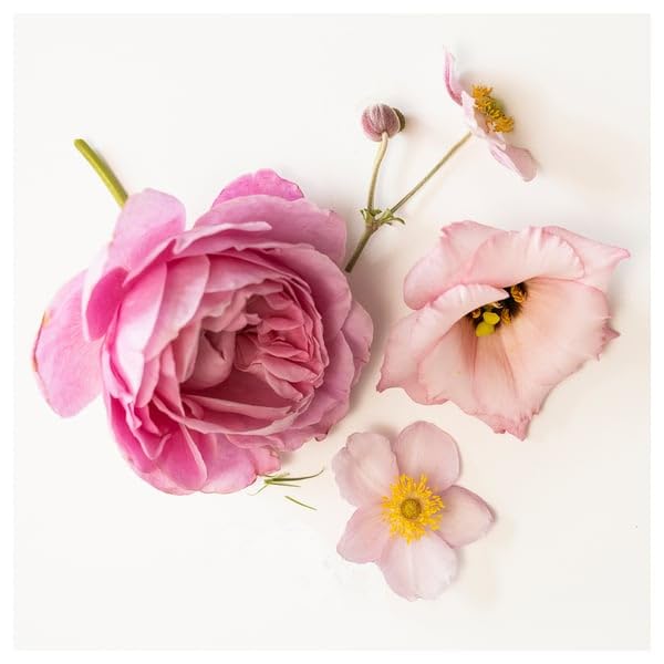ProTuning KRONSÅNGARE Candela profumata in vetro, 2 stoppini, fiori rosa/rosa punteggiato, 50 ore