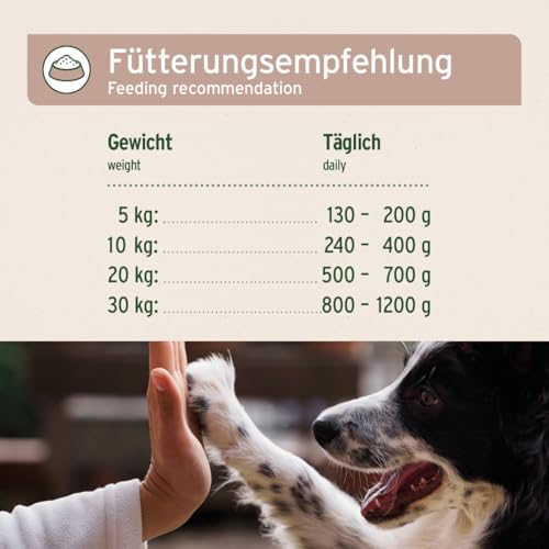 AniForte Hundefutter Nass FarmsLamb 6 x 800g – Nassfutter für Hunde, Frisches Lamm mit Gemüse & Früchten, hoher Fleischanteil, Natürliches Hundenassfutter glutenfrei
