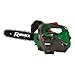 Ribimex Motosega da Potatura a Scoppio 25,4 cc, Lama da 300 mm, 1,07 HP a 11.000 giri/min, Lubrificazione Automatica, Velocità Catena 21 m/sec, Avviamento Manuale, Accessori Inclusi - PRTRT301