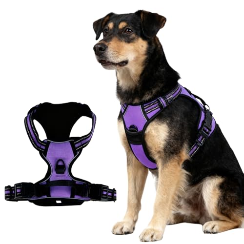CUEMOON Pettorina per Cani Taglia Media, Anti Tiro Riflettente, media e grande taglia, adatto per passeggiate, corsa, allenamento (Viola, M)