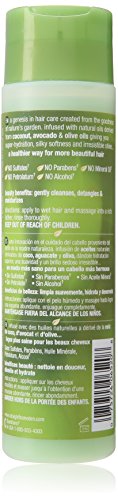 Creme Of Nature Straight From Eden Plant Derived Hydrating Shampoo, 10 Ounce #TOP1