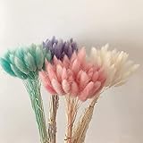 ❀ Natural, no tóxico e inofensivo, muy indicado para la decoración de salones, dormitorios, oficinas, hoteles, cafeterías, restaurantes, jardines, antepechos de ventanas, mesas de comedor, mesas de café, etc.