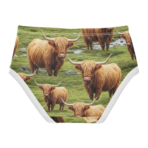 Cotton Girls Underwear Toddlers Vivid Highland Cows Grass Panties for Girl Colorful Briefs Kids Undies 2t2