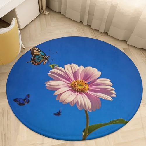 Tapis circulaire lavable absorbant et petit tapis de sol pour entrée