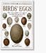 Birds' Eggs (Eyewitness Handbooks)