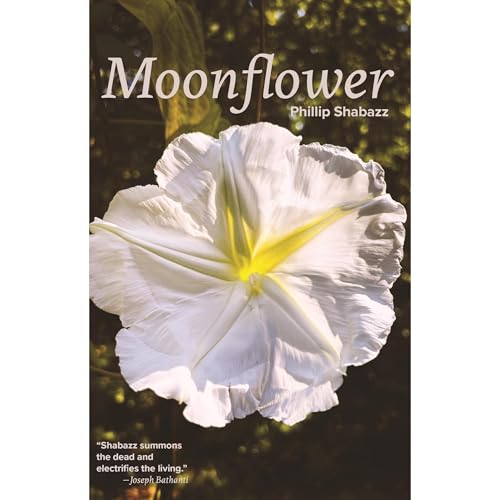 Moonflower (Authored by Phillip Shabazz) episode artwork
