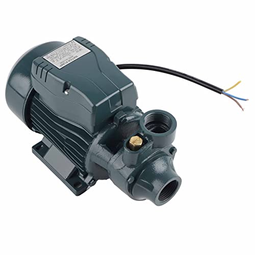 Fafeicy 370W Wasserpumpe QB60