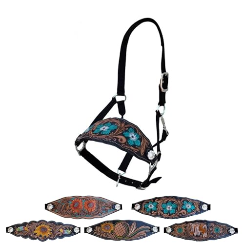 Majestic Ally Equestrian Designer Bronc Halter for Horses, Hand-Tooled Leather Nose, Padded Nylon Crown and Noseband (Turquoise Carnation, Black, Full)