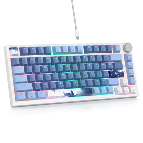 Clavier mécanique filaire 75% hot swappable avec rétroéclairage RGB personnalisé
