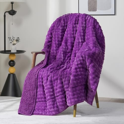 Cottonblue Weighted Blanket 15lbs for Adults Queen Size 60"x80" Soft Sherpa