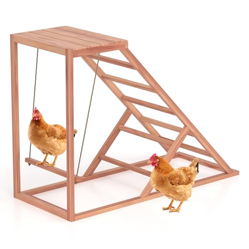 Chicken Perch w/Ladder Swing & Ramp for Coop, Chicken Roosting Bars for Chickens in Coop, Chicken Coop Accessories Toy, Wooden Chicken Activity Play for Pets Healthy Suitable for Backyard Farm