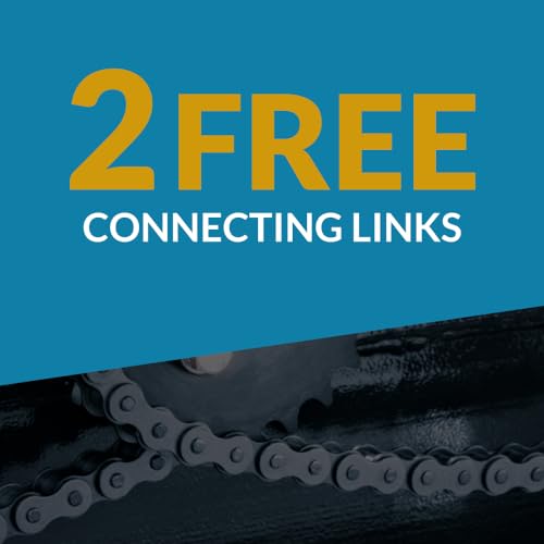 PGN #40-2 Duplex Double Strand Roller Chain x 10 feet + 2 Connecting Links
