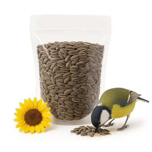Raw USA Grown Sunflower Seeds in Shell