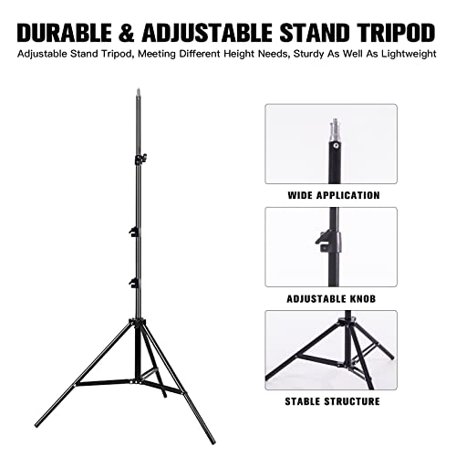 Beiyang Softbox Photography Lighting Kit For Studio Light, Professional Continuous Soft Box With 2Pcs E27 Bulbs, 2Pcs Hexagonal Soft Light Box Set With Carry Bag For Photo Shooting, Video Recording #TOP5