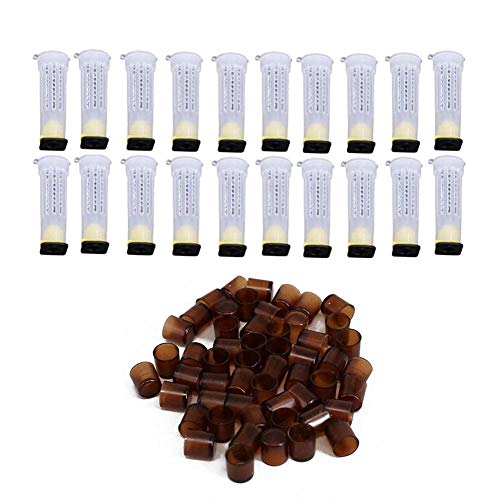 jiutinggood 20Pcs Beekeeping Rearing Cup Kit Bee Queen Cages Roller Beekeeper Equipment Tool