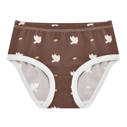 Cute Bird Pigeon Bread Brown Toddler Girls's Underwear 2T 2302237