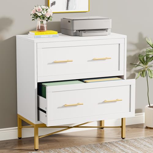 Tribesigns Modern White 2 Drawer File Cabinet, Lateral Filing Cabinet for Letter/Legal/A4 Size, Wood...
