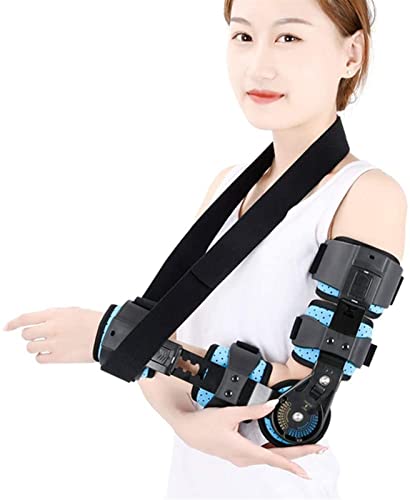 qWtG{[u[XT|[gQ񕜑\ȉejXG{[֐ߒɂy (Color : Left)