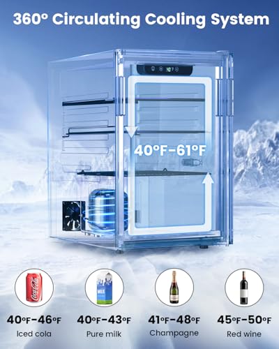 Wine Cooler Refrigerator - 24 Bottle 95 Can Mini Wine Fridge with Glass Door for Beer Soda Water Drink, Small Wine Cellar Beverage Refrigerator for Bedroom Office Home Bar Dorm, 2.6 Cu.Ft