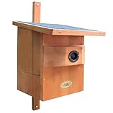 Reinigungsklappe im Frontbereich