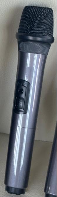 Portable Bluetooth Speaker with 2 Wireless Karaoke Microphones, Karaoke Machine for Adults Kids with Upgraded Subwoofer, PA System, Support TWS/TF/USB/AUX for Home Party Outdoor