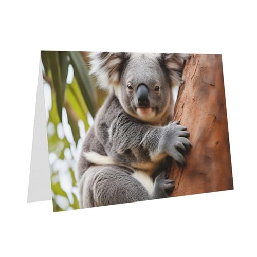 Hugging Tree Koala 1�v�����g�O���[�e�B���O�J�[�h�Z�b�g 4 x 6 �J�[�h�X�g�b�N �m�[�g�J�[�h �A�\�[�g�a���� ������ �N���X�}�X