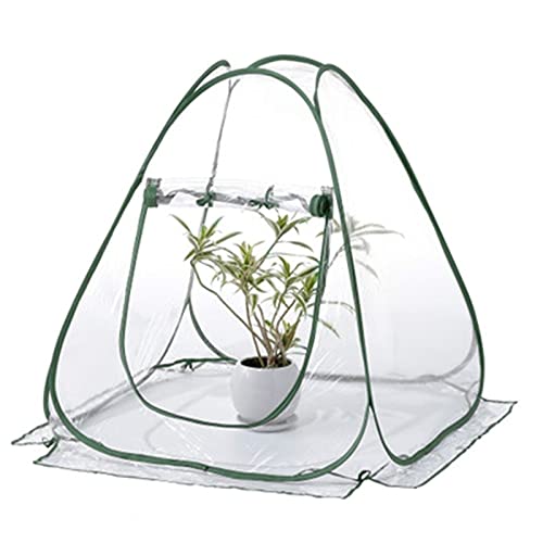 ZSHUZHI Serre Plante Hangar auvent auvent étanche Serre intérieure Jardinage extérieur Jardin de Fleurs Couverture Fleur abri Hothouse by