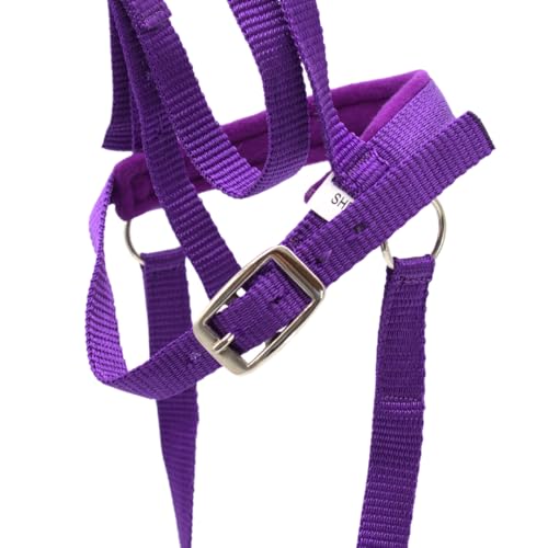 PFIFF 103126 Trensenzaum „Lotty“ für Spiel- & Holzpferde, Spieltrense, Trense für Spielpferd, Einheitsgröße, Lila